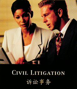 Litigation